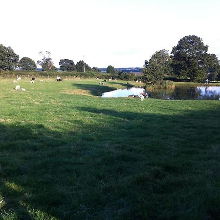 Crich Lane Farm Bed & Breakfast Alfreton Bagian luar foto