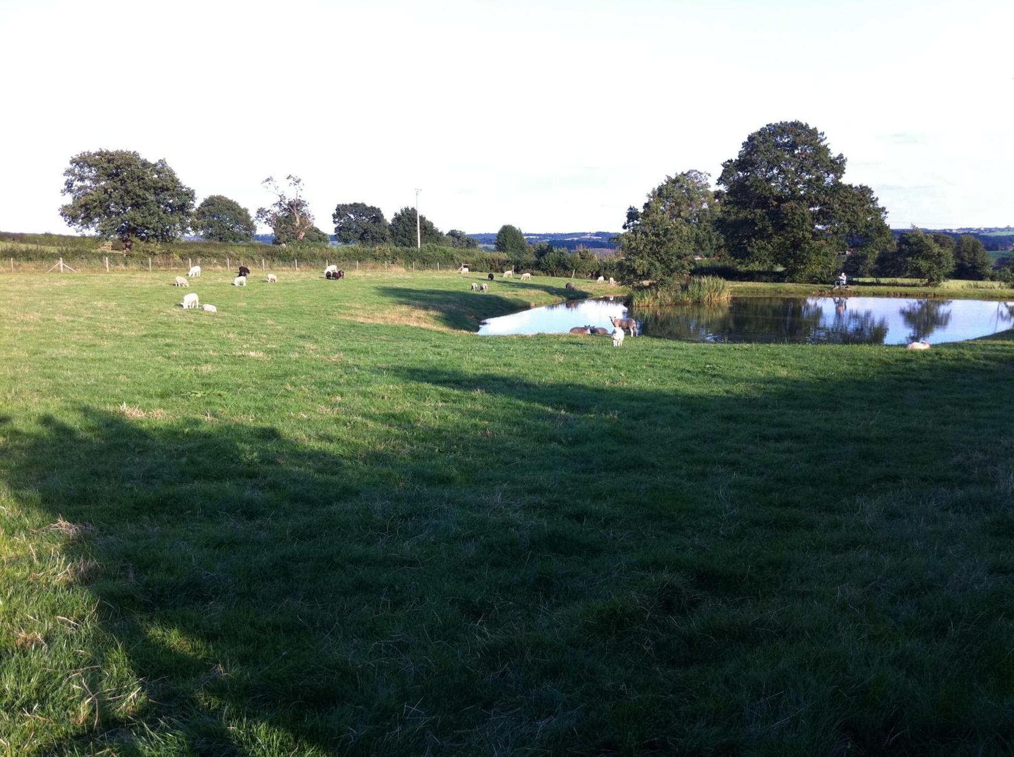 Crich Lane Farm Bed & Breakfast Alfreton Bagian luar foto
